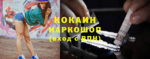 сатива Козловка