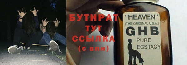 сатива Козловка
