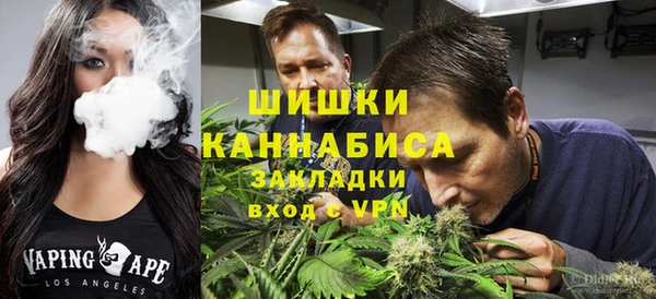 сатива Козловка