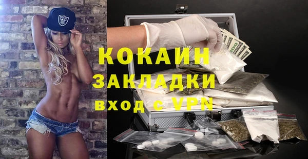 сатива Козловка