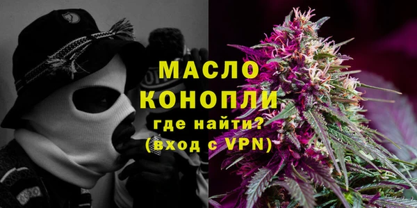 гашик Костерёво
