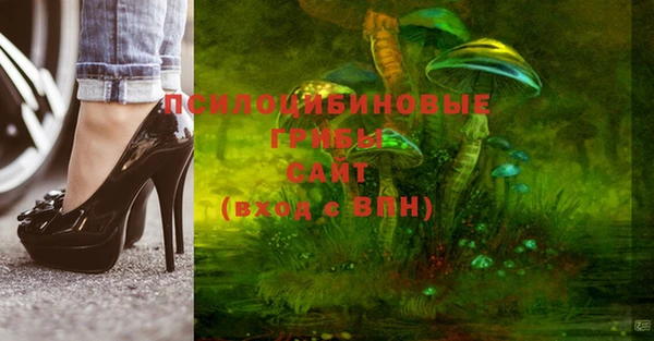 прущий лед Корсаков