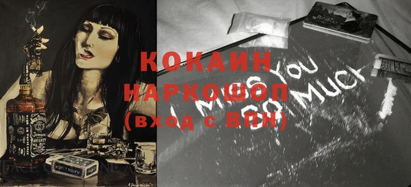 сатива Козловка