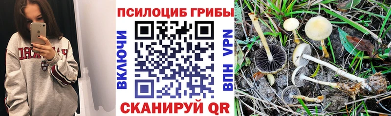 Галлюциногенные грибы мухоморы  наркошоп  Кологрив 